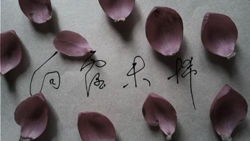 空间说说 不可遗失的留恋，只可肆意的思念。