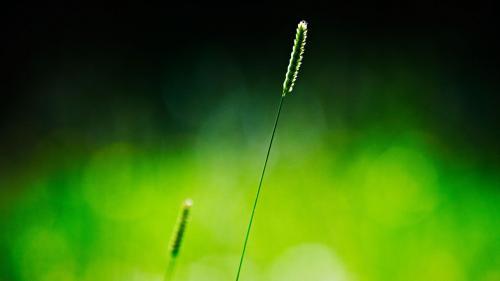 唯美古风句子_古风句子大全