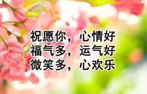 亲切的周一问候语